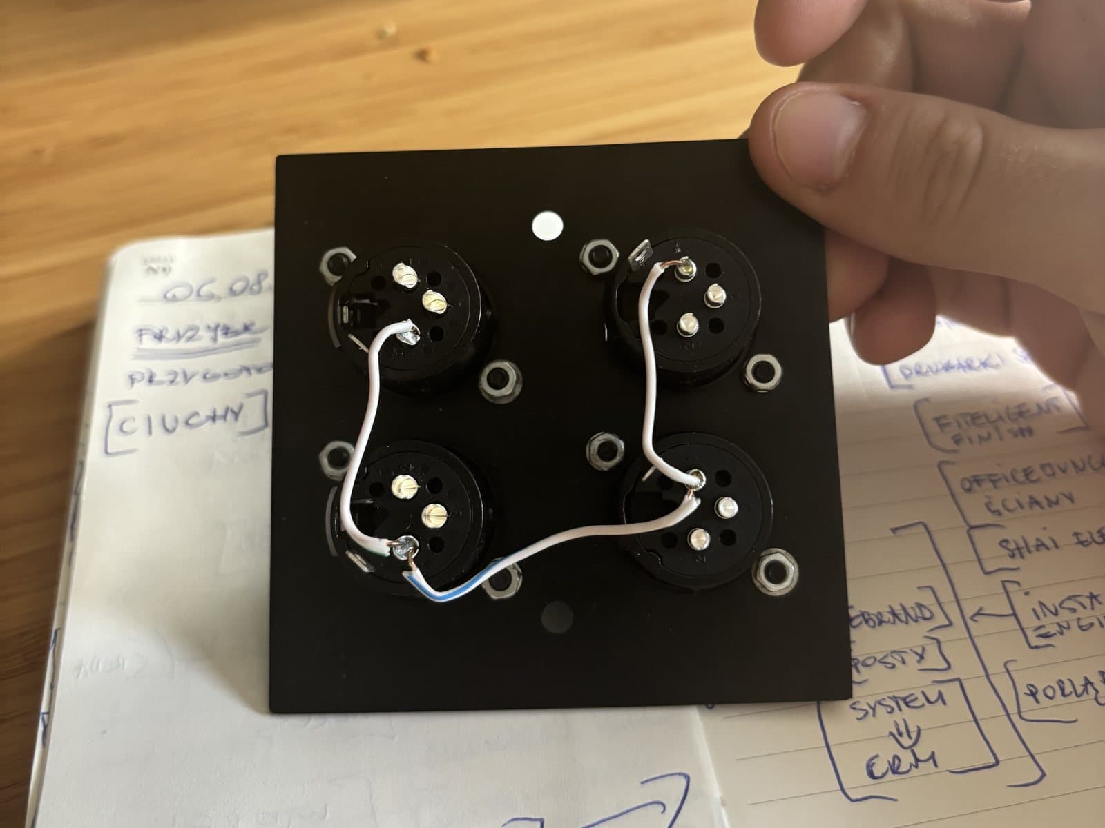 The back of the plate with its wiring: all of this has to fit inside the box with the plugs.